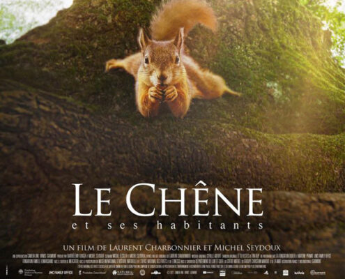 le chene drone