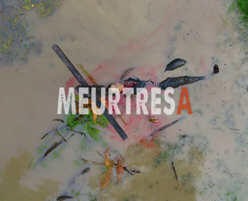 Meurtres en berry