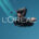 edgar ulrich drone