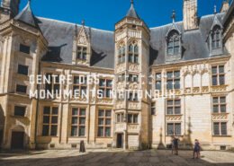 inspection drone palais jacques cœur